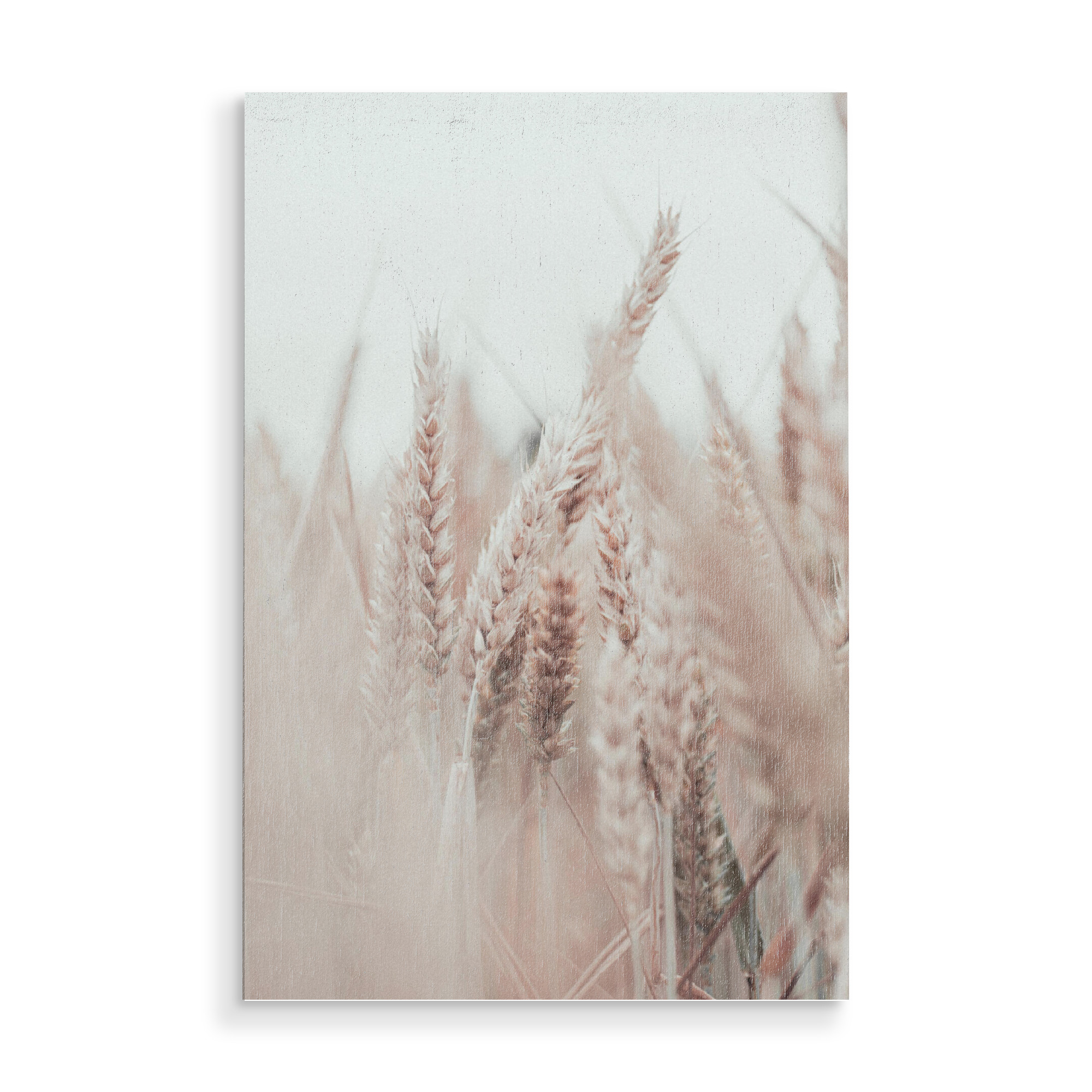 Holzbild "Gräser Boho creme" artboxONE - Natur,Floral,Liebe