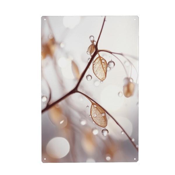 Metall Poster "Drops On Leaf (Two)" artboxONE - Natur,Floral,Für Mama - Tropfen,Regen,Makro,Fotografie,Treechild,Natur,Simpel - Blechschild