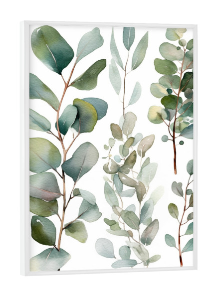 Poster mit weißem Rahmen "Eukalyptus - Zweige" artboxONE - Natur,Liebe