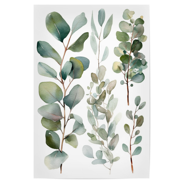 Poster 30x20 cm "Eukalyptus - Zweige" artboxONE - Natur,Liebe