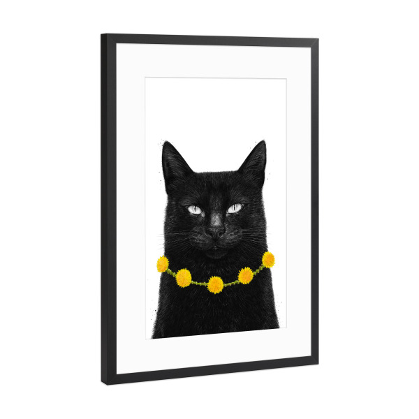 Poster mit Rahmen Schwarz (Metallic) "Schwarze Katze mit Löwenzahn" artboxONE - Floral,Tiere,Halloween,Lustig