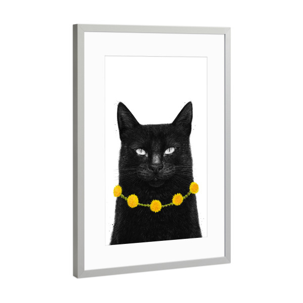 Poster mit Rahmen Silber "Schwarze Katze mit Löwenzahn" artboxONE - Floral,Tiere,Halloween,Lustig