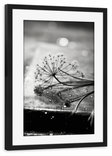 Poster mit Rahmen schwarz "Monochrome Impressions" artboxONE - Floral,Abstrakt,Schwarzweiß