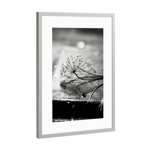 Poster mit Rahmen Silber "Monochrome Impressions" artboxONE - Floral,Abstrakt,Schwarzweiß