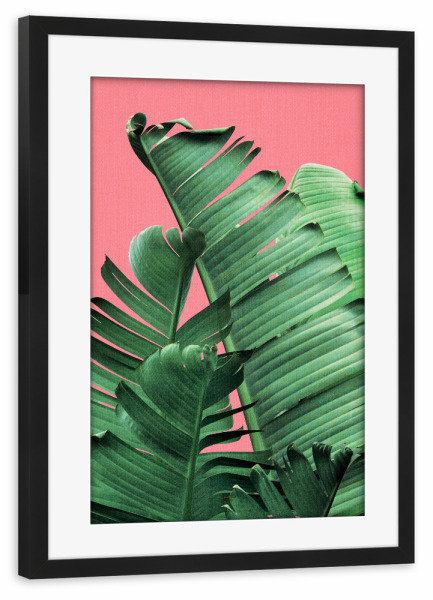 Poster mit Rahmen schwarz "Bananenblätter in Rosa" artboxONE - Natur,Reise,Floral