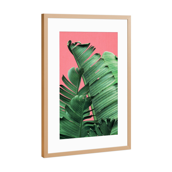 Poster mit Rahmen Kupfer "Bananenblätter in Rosa" artboxONE - Natur,Reise,Floral