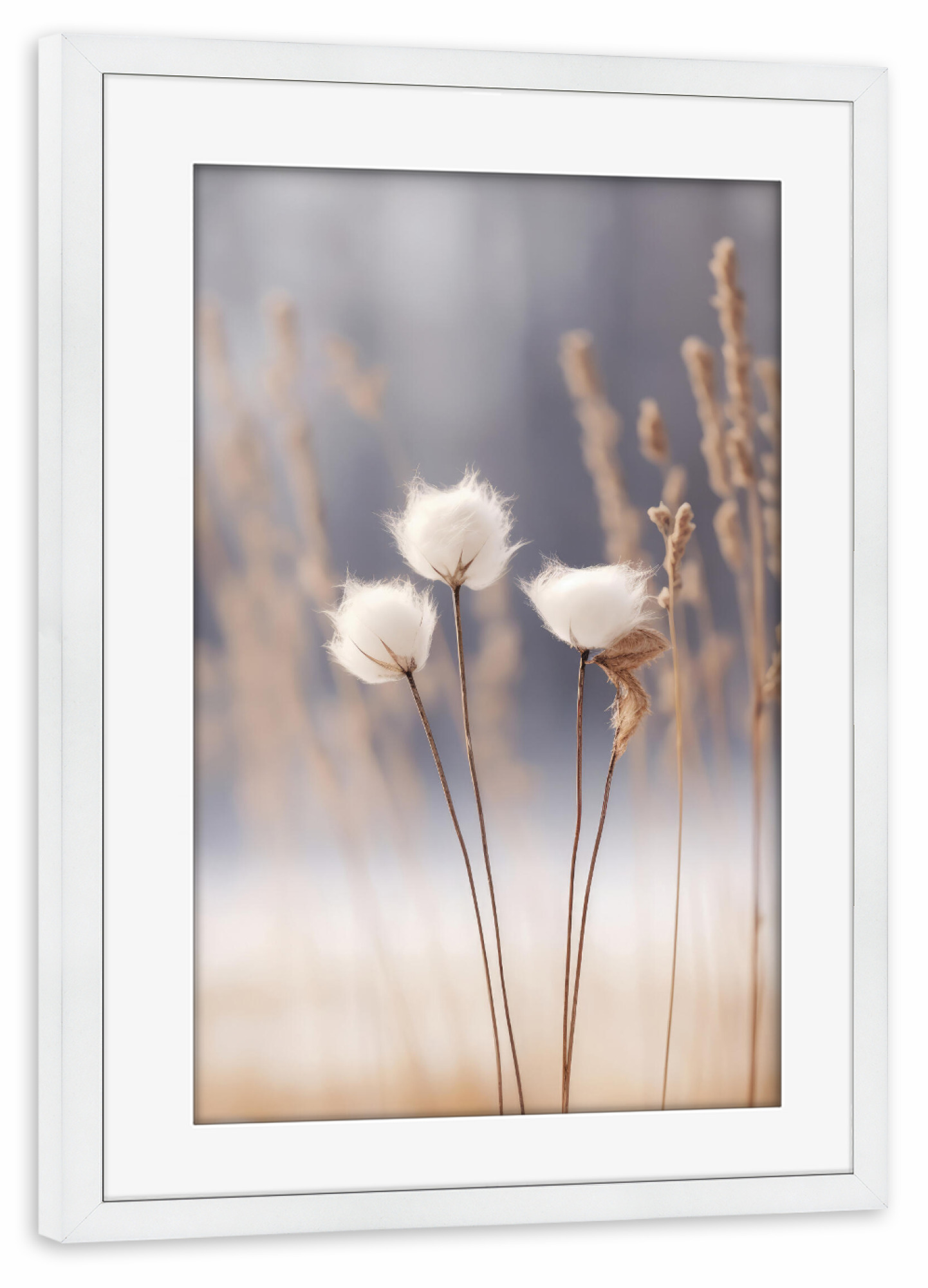 Poster mit Rahmen weiß "Wollblumen" artboxONE - Natur,Floral,Für Mama - Natur,Baumwolle,Blume,Winter,Fotografie,Digitale kunst,Treechild,Gras,Outside