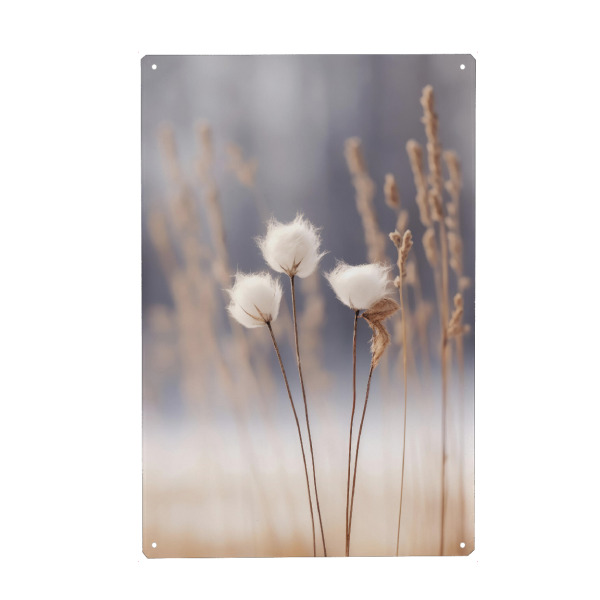 Metall Poster "Wollblumen" artboxONE - Natur,Floral,Für Mama - Natur,Baumwolle,Blume,Winter,Fotografie,Digitale kunst,Treechild,Gras,Outside