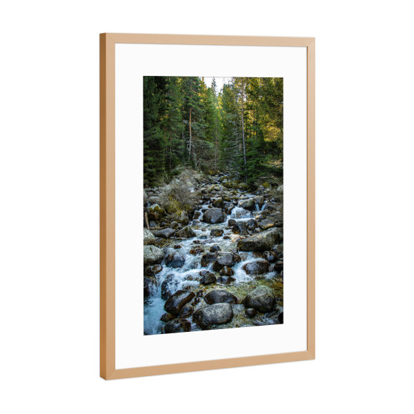 Poster mit Rahmen Kupfer "Grüner Waldfluss" artboxONE - Natur,Männer