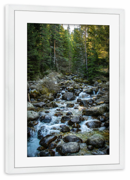 Poster mit Rahmen weiß "Grüner Waldfluss" artboxONE - Natur,Männer