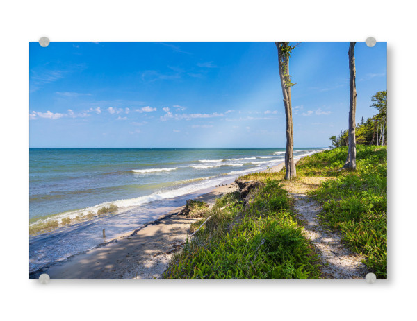 Acrylglasbild "Meer, Wellen, Baum, Strand" artboxONE - Natur,Reise,Reise / Strand und Meer