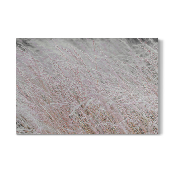 Galerie-Print "Wind Gräser" 30x20 cm artboxONE