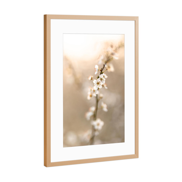 Poster mit Rahmen Kupfer "Kirschblüte Hochformat" artboxONE - Floral - Kirschblüte,Blumen,Gold,Frühling,Gelb,Sonnenlicht,Sonne