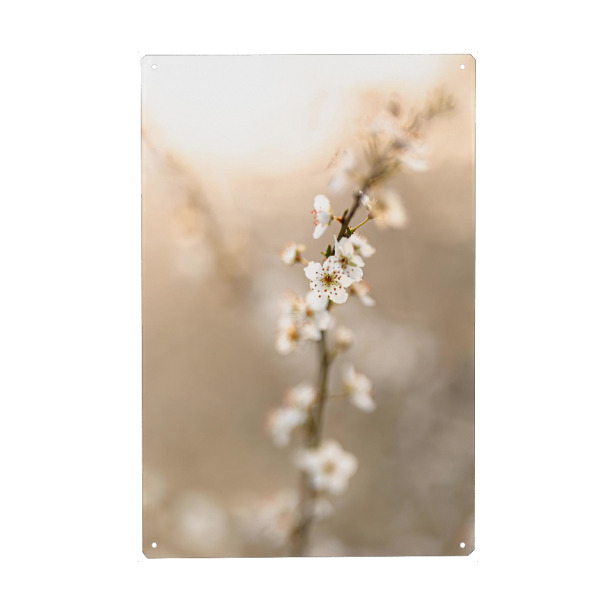 Metall Poster "Kirschblüte Hochformat" artboxONE - Floral - Kirschblüte,Blumen,Gold,Frühling,Gelb,Sonnenlicht,Sonne - Blechschild