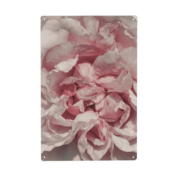 Metall Poster "Rosa Blütenblätter" artboxONE - Natur,Floral,Für Mama