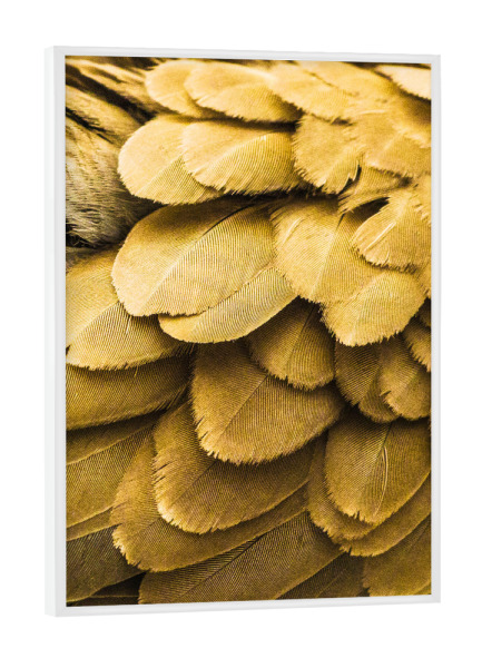 Poster mit weißem Rahmen "Goldene Federn" artboxONE - Tiere,Abstrakt