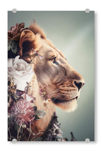 Acrylglasbild "Löwe-Liebes-Diptychon" artboxONE - Floral,Tiere - Löwe,Große katze,Diptychon,Botanisch,Blumen,Afrika