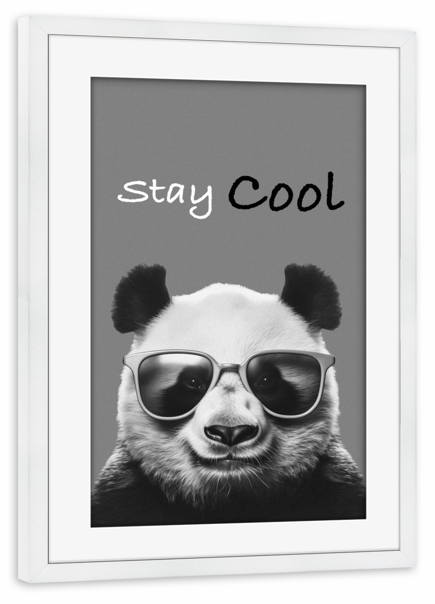Poster mit Rahmen weiß "Panda Stay CooL" artboxONE - Tiere,Schwarzweiß,Lustig