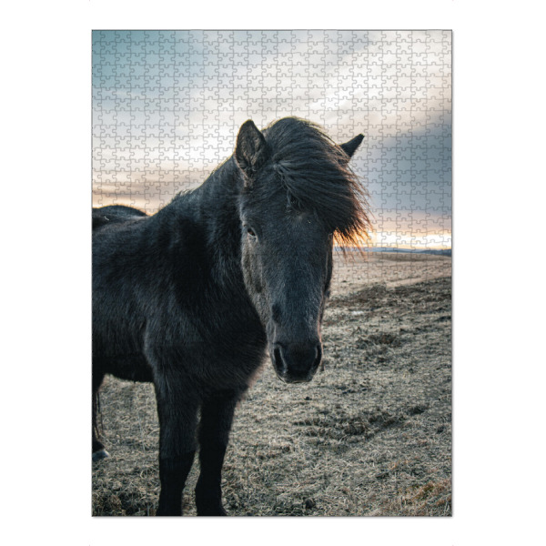 Puzzle Ravensburger "Sonnenuntergangspferd" artboxONE - Natur,Reise,Tiere