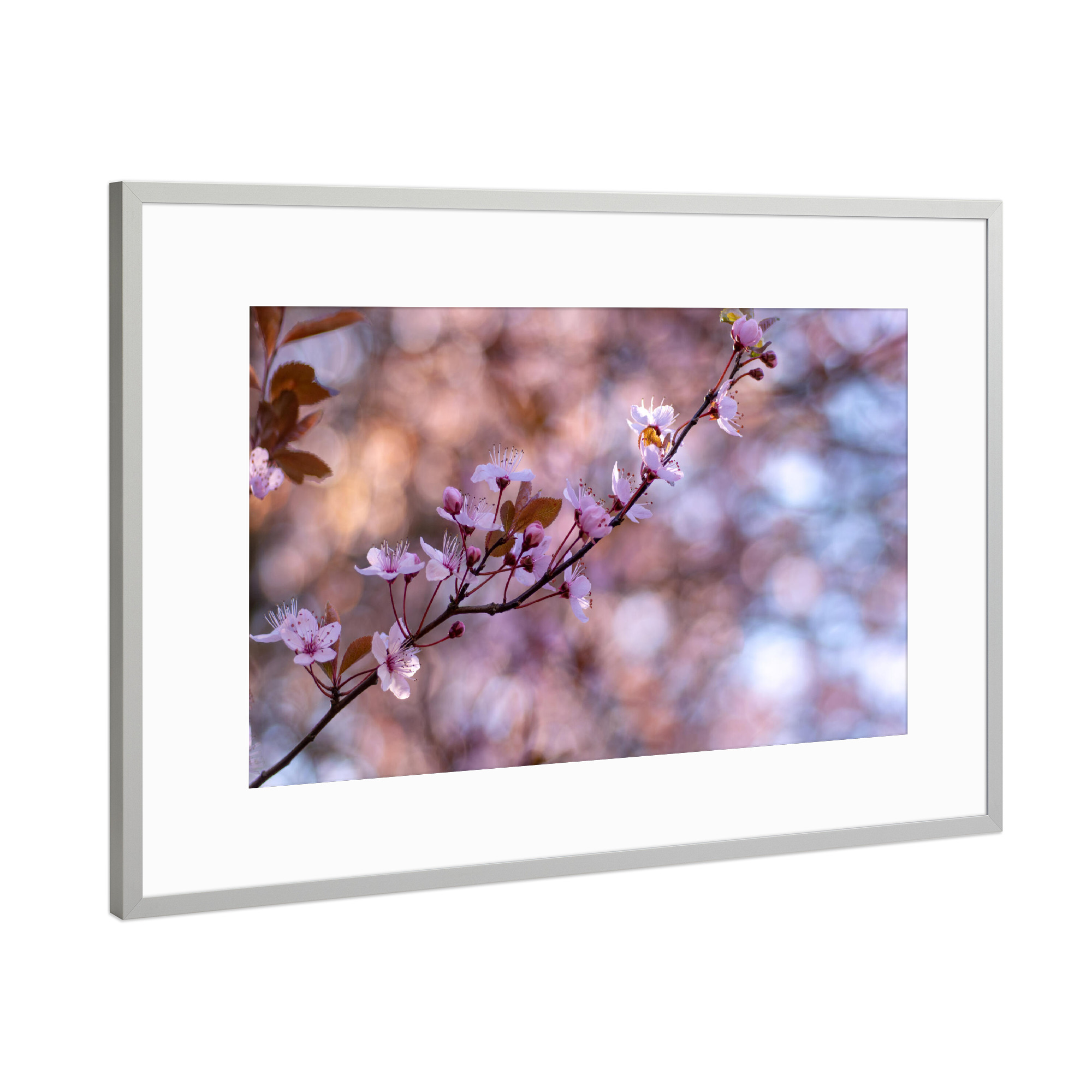 Poster mit Rahmen Silber "Die herrliche Blüte" artboxONE - Floral