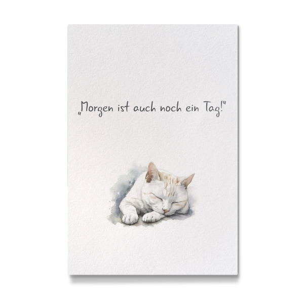Galerie-Print "Miao ich schlafe" 30x20 cm artboxONE