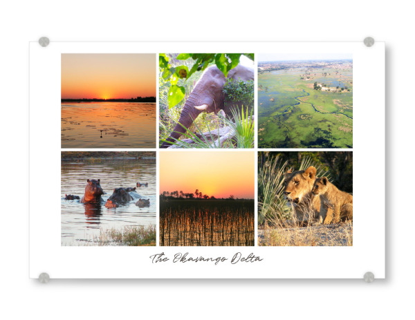 Acrylglasbild "Okavango Delta Impressions" artboxONE - Natur,Reise,Tiere,Reise / Afrika,Reise / Länder