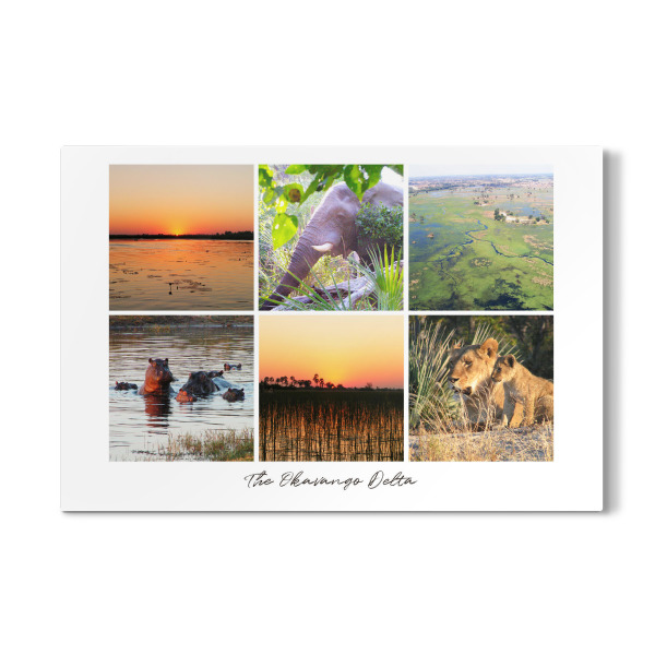 Galerie-Print "Okavango Delta Impressions" 30x20 cm artboxONE