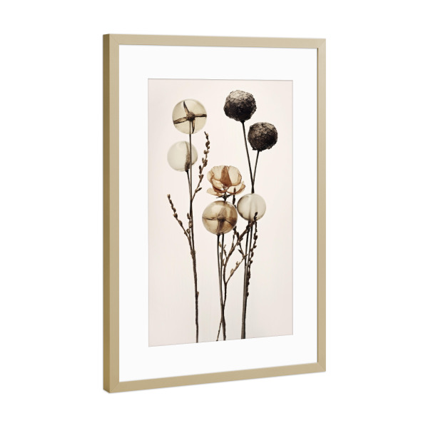 Poster mit Rahmen Gold "Glass Ball Flowers" artboxONE - Floral,Abstrakt,Für Mama