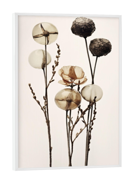 Poster mit weißem Rahmen "Glass Ball Flowers" artboxONE - Floral,Abstrakt,Für Mama