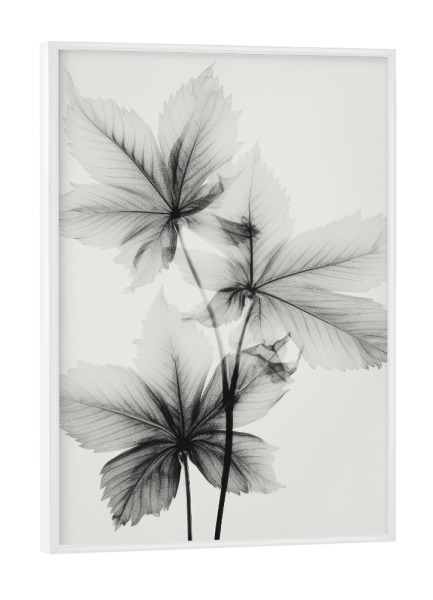 Poster mit weißem Rahmen "Transparent Botanic (Five)" artboxONE - Natur,Floral,Für Mama