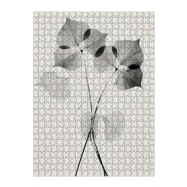 artboxONE Puzzle "Transparent Botanic (Two)" artboxONE - Natur,Floral,Für Mama