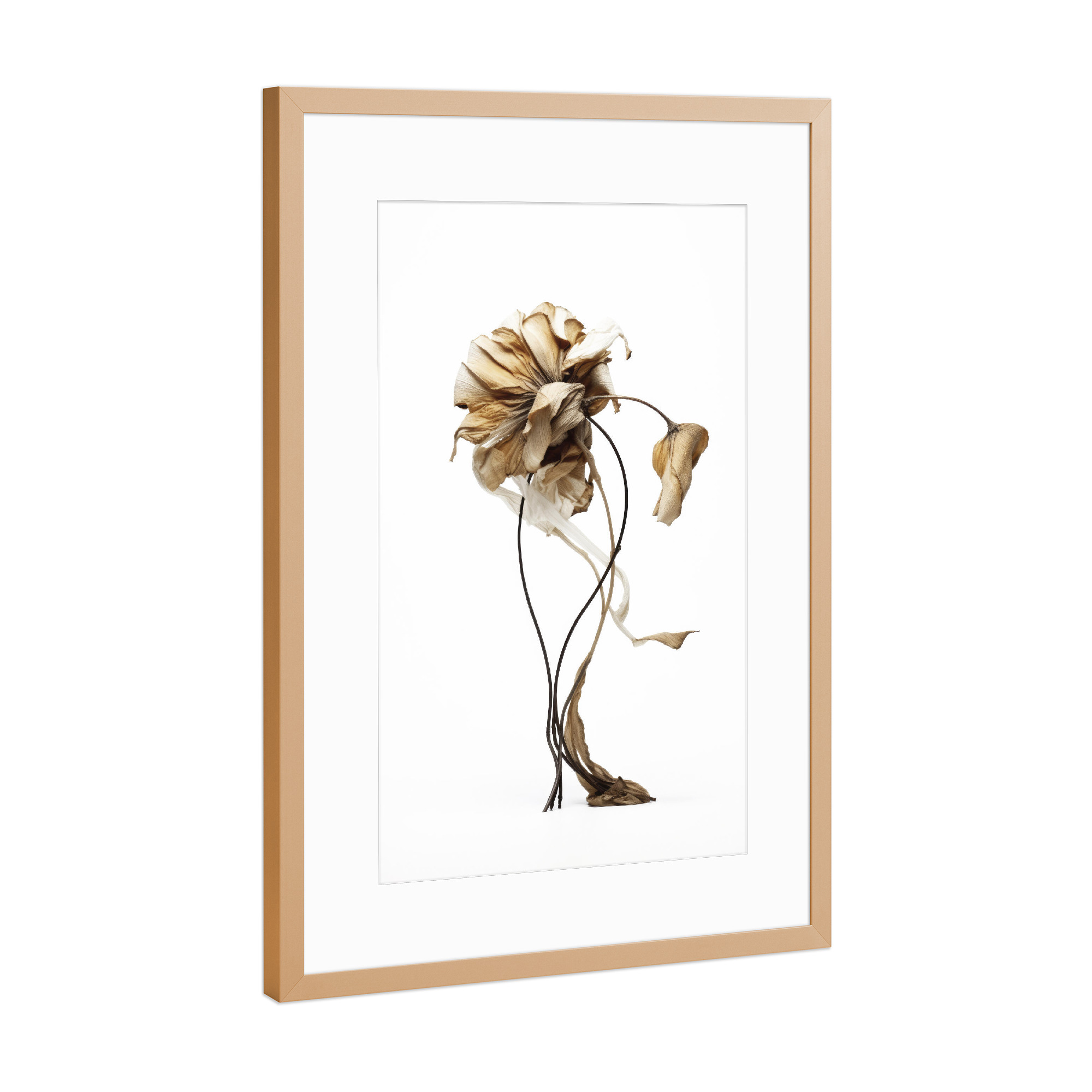 Poster mit Rahmen Kupfer "Curvy Elegance" artboxONE - Floral,Abstrakt,Für Mama