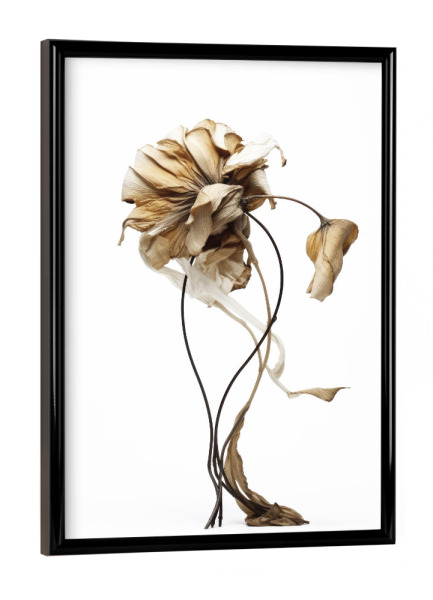 Poster mit schwarzem Rahmen "Curvy Elegance" artboxONE - Floral,Abstrakt,Für Mama