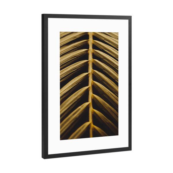 Poster mit Rahmen Schwarz (Metallic) "Goldenes Palmblatt" artboxONE - Natur,Reise,Reise / Strand und Meer