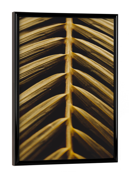 Poster mit schwarzem Rahmen "Goldenes Palmblatt" artboxONE - Natur,Reise,Reise / Strand und Meer