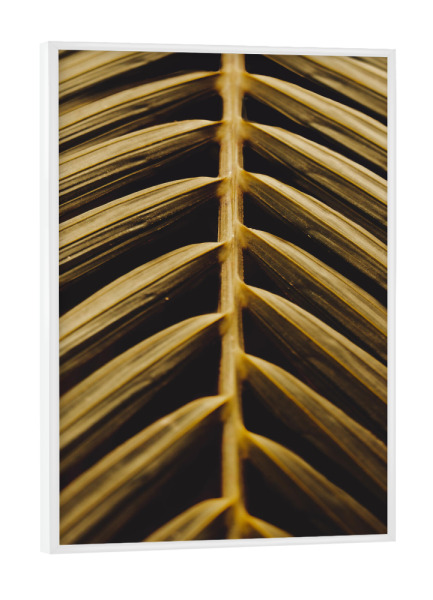Poster mit weißem Rahmen "Goldenes Palmblatt" artboxONE - Natur,Reise,Reise / Strand und Meer