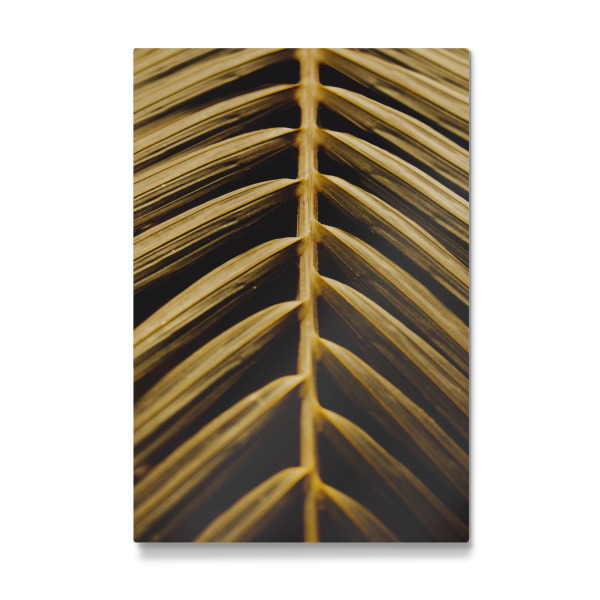 Galerie-Print "Goldenes Palmblatt" 30x20 cm artboxONE