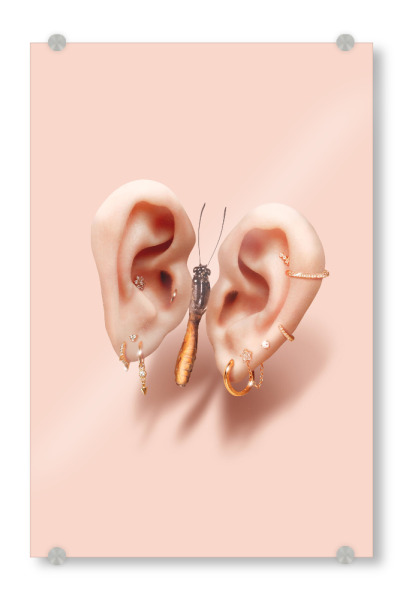 Acrylglasbild "Geräusche der Natur" artboxONE - Natur,Tiere,Fashion