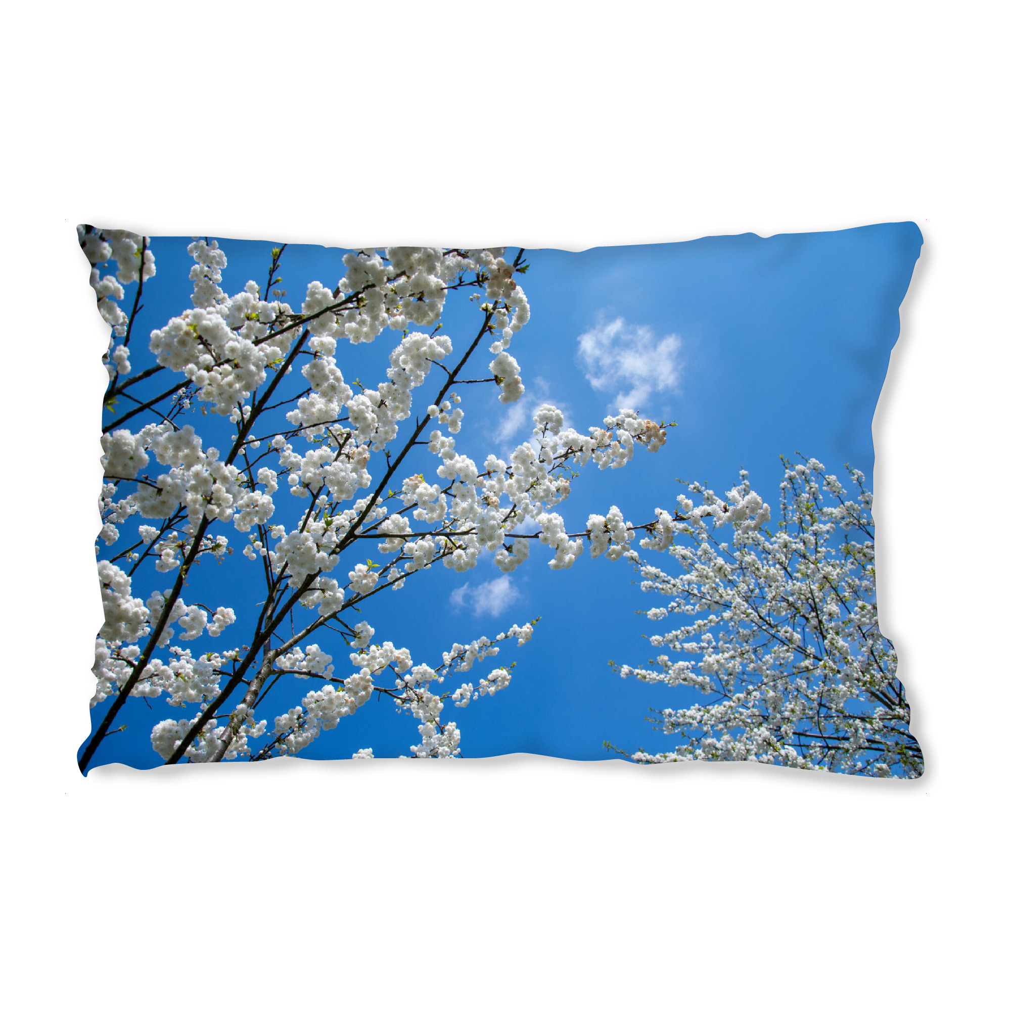 Design-Kissen "Blütenzweige" artboxONE - Natur,Floral - Himmel,Liebe,Weisse blüte - Bild himmel
