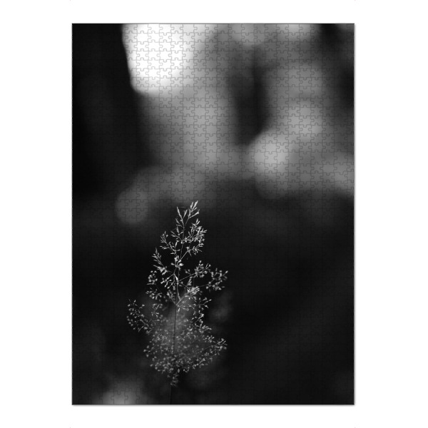 Puzzle Ravensburger "Sommergräser" artboxONE - Natur,Floral - Gräser,Floral,Natur,Schwarzweiß - Bild gräser