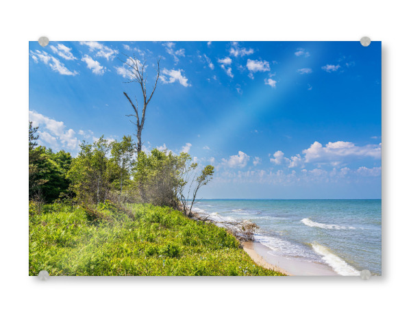 Acrylglasbild "Gras, Baum, Wellen, Meer" artboxONE - Natur,Reise,Reise / Strand und Meer