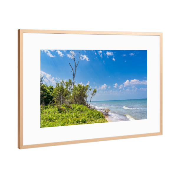 Poster mit Rahmen Kupfer "Gras, Baum, Wellen, Meer" artboxONE - Natur,Reise,Reise / Strand und Meer