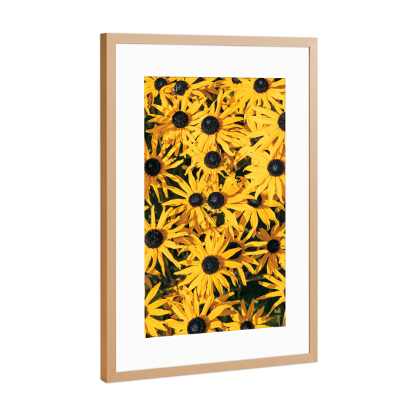 Poster mit Rahmen Kupfer "Gelber Blumengarten" artboxONE - Natur,Floral