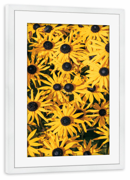 Poster mit Rahmen weiß "Gelber Blumengarten" artboxONE - Natur,Floral