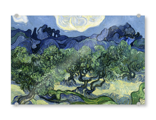 Acrylglasbild "Olivenbäume malen" artboxONE - Natur,Reise,Reise / Länder,Für Mama,Für Papa