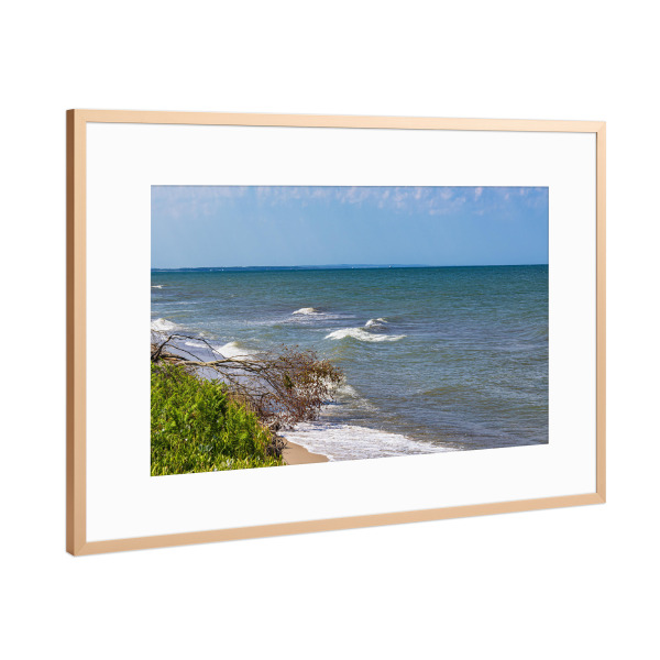 Poster mit Rahmen Kupfer "Baumstamm, Meer, Wellen" artboxONE - Natur,Reise,Reise / Strand und Meer