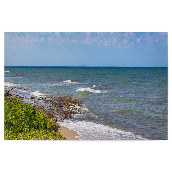 Poster "Baumstamm, Meer, Wellen" artboxONE - Natur,Reise,Reise / Strand und Meer