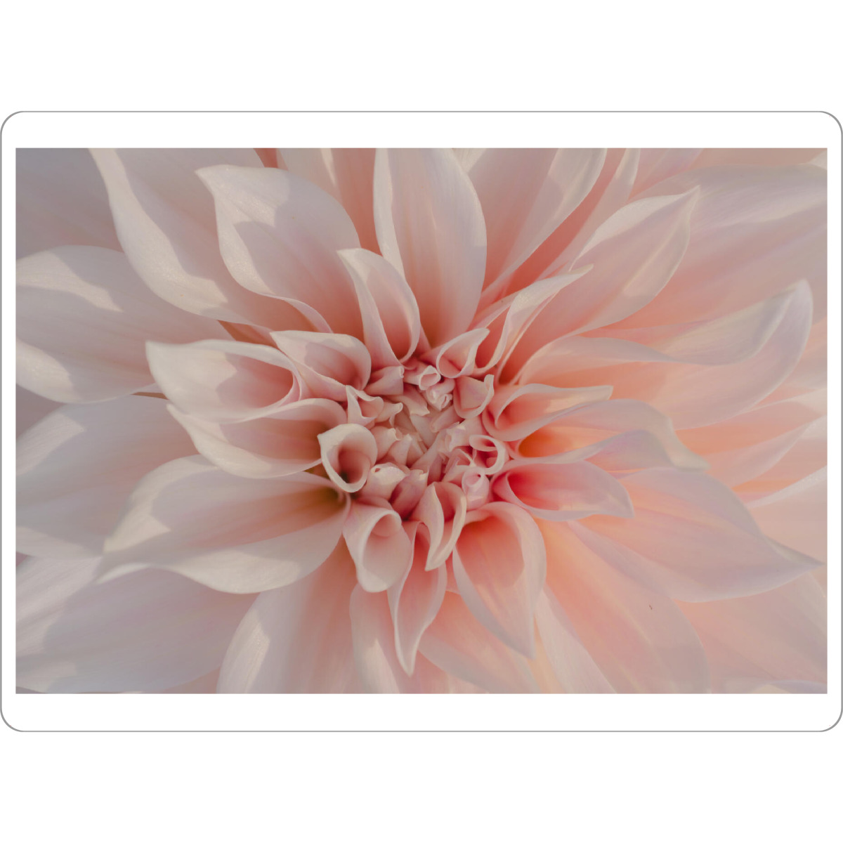 Tischset "Innere Kraft" artboxONE - Floral - Blüte,Blume,Kraft,Liebe,Mitte,Entspannung,Erholung,Frieden,Frühling - Bild blüte