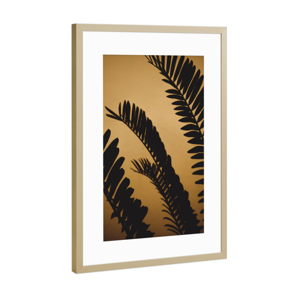 Poster mit Rahmen Gold "Goldene schattierte Palmblätter" artboxONE - Natur,Reise,Floral,Reise / Strand und Meer