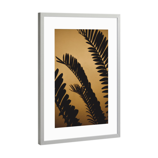 Poster mit Rahmen Silber "Goldene schattierte Palmblätter" artboxONE - Natur,Reise,Floral,Reise / Strand und Meer